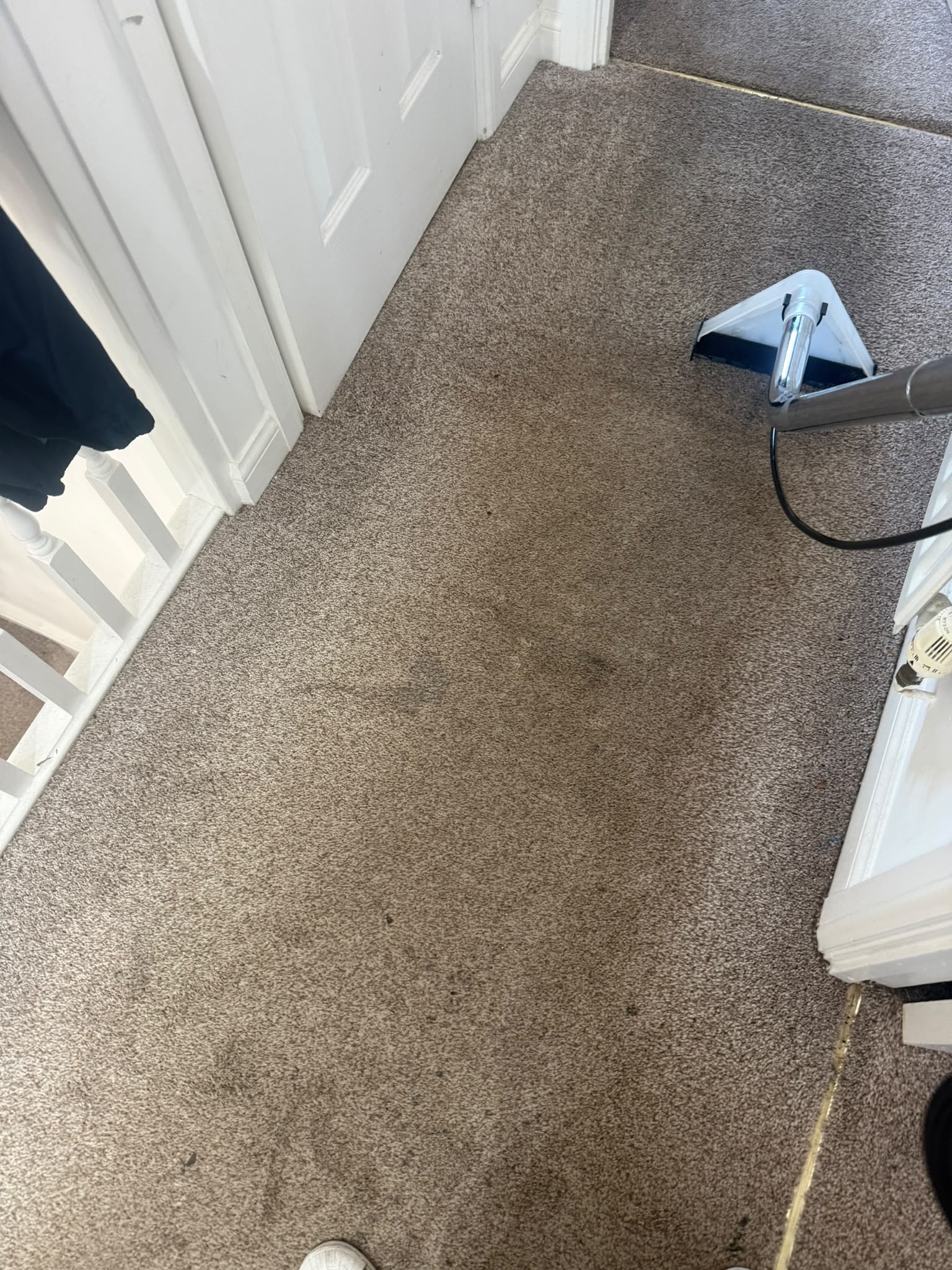 Carpet cleaning Edinburgh