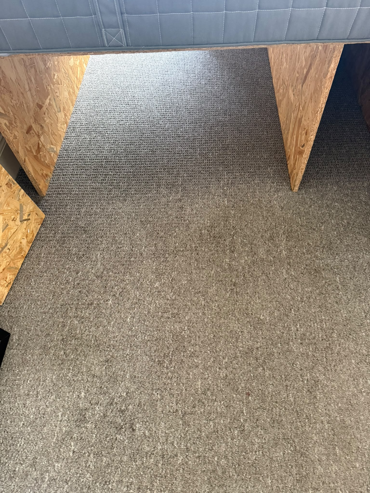 Carpet cleaning Edinburgh