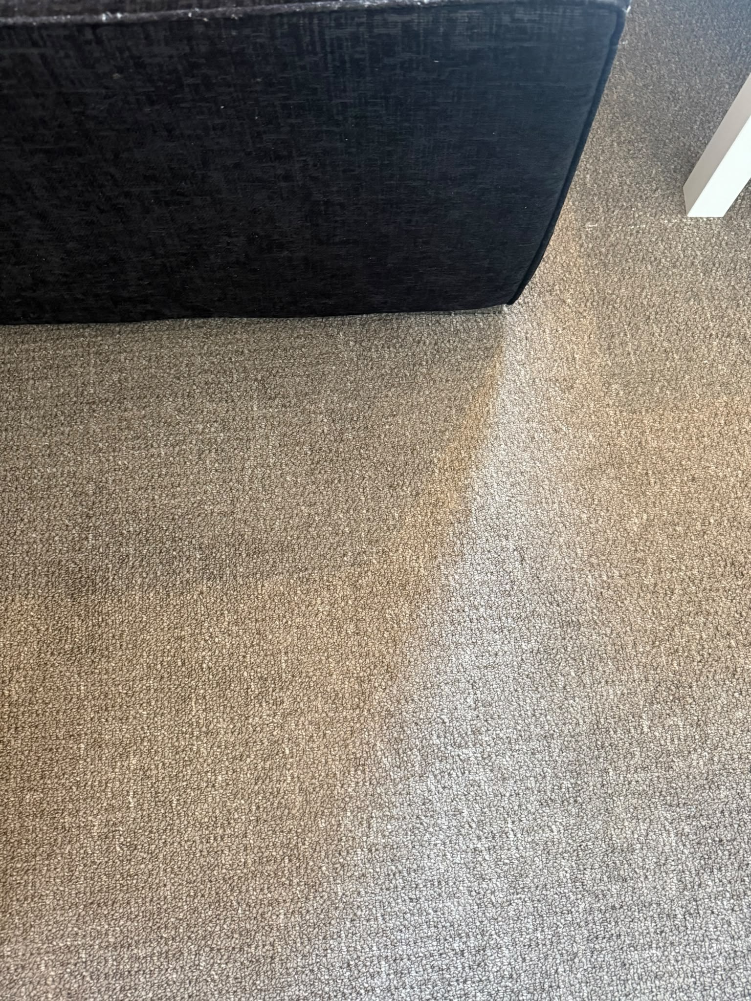 Carpet before and after Edinburgh