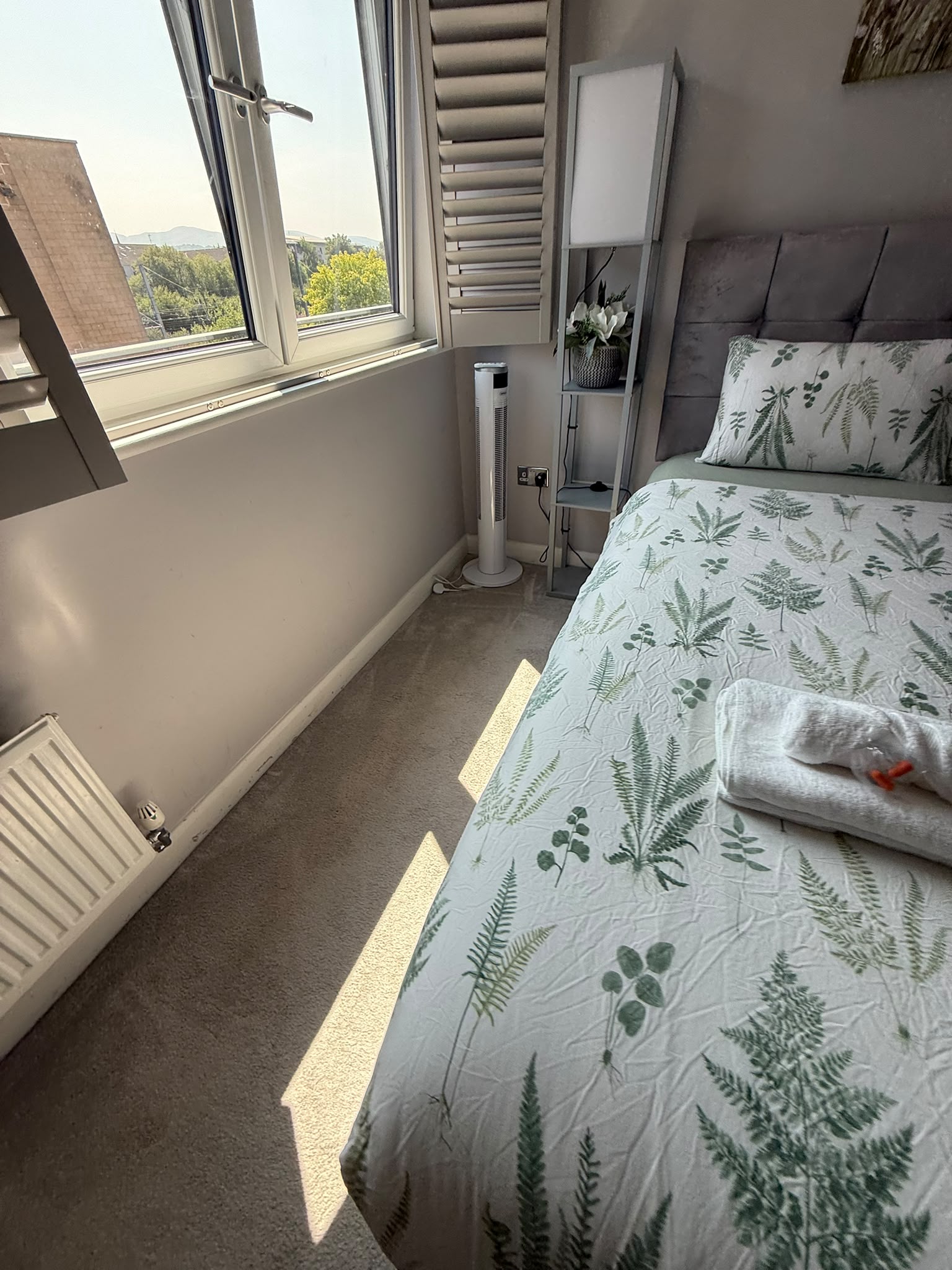 Carpet cleaning Edinburgh