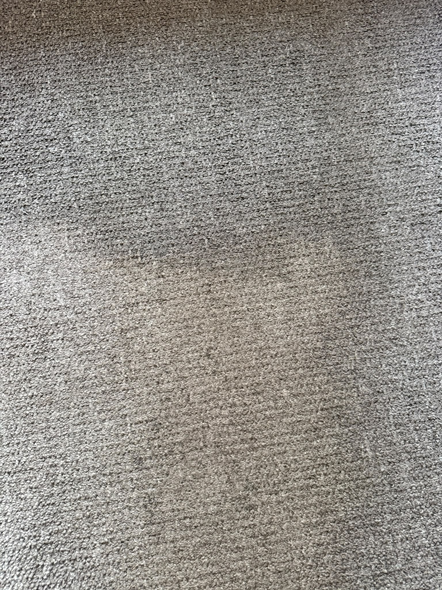 Carpet stain removal Edinburgh