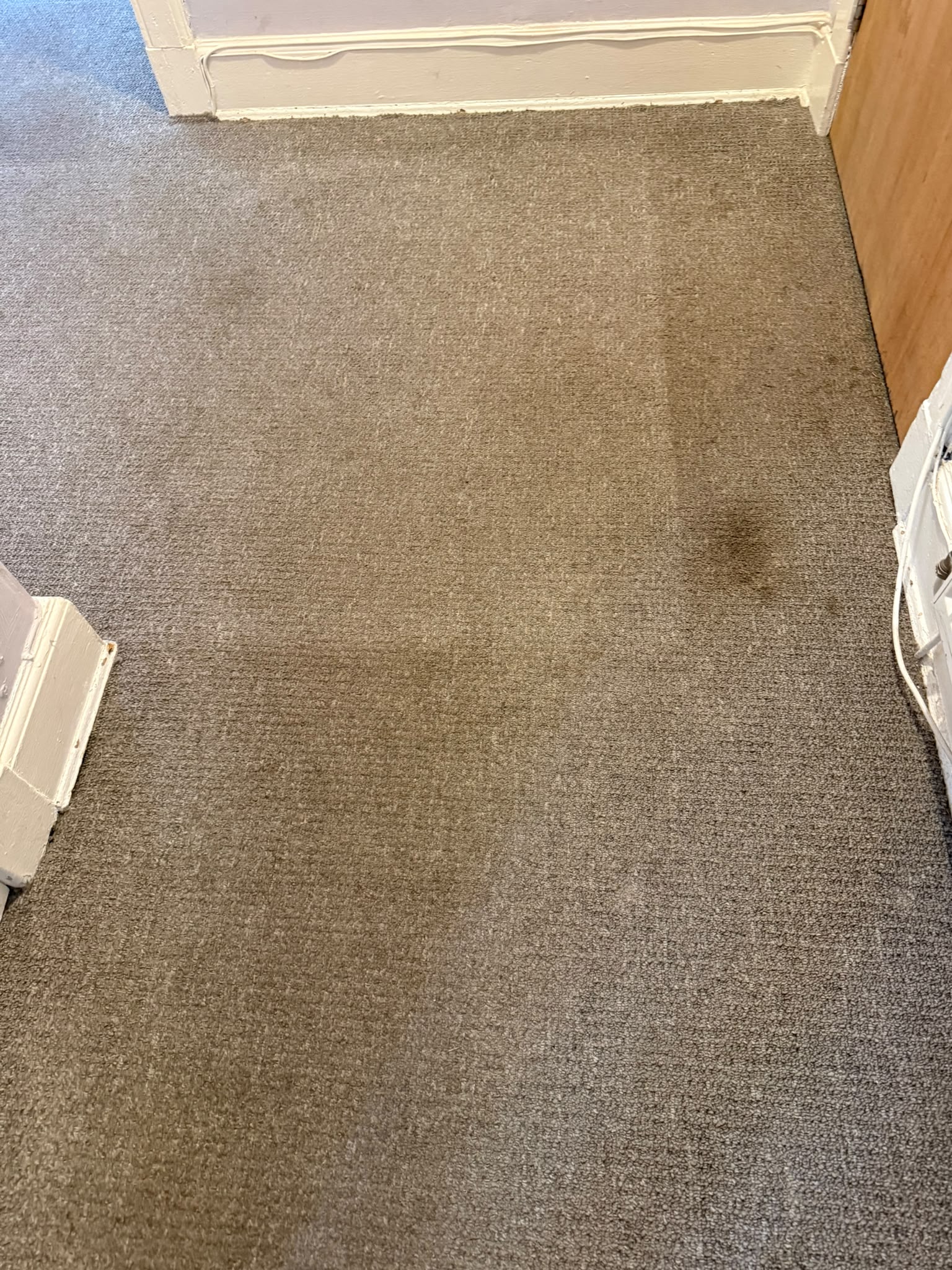 Carpet cleaning Edinburgh