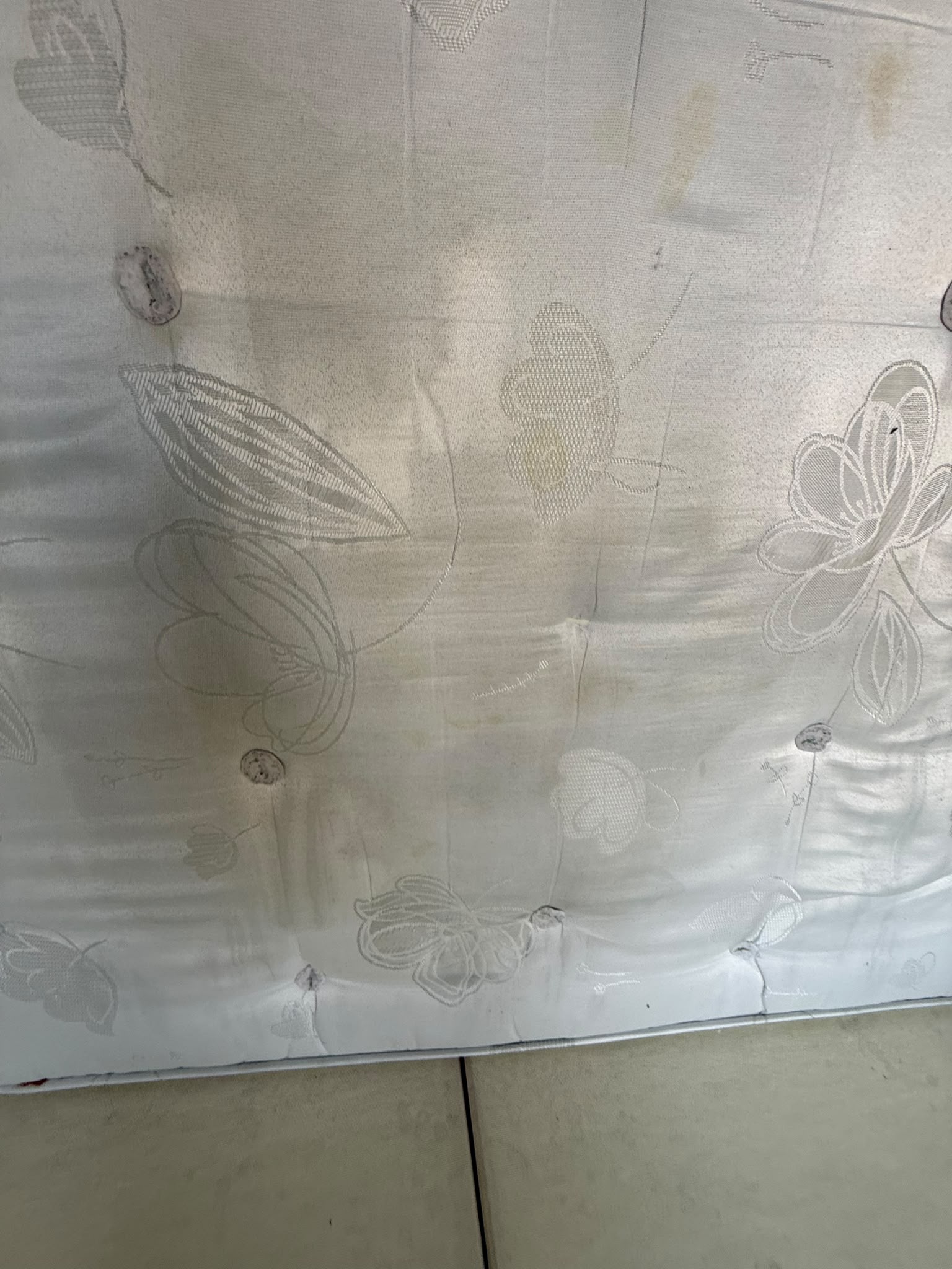 Carpet cleaning Edinburgh
