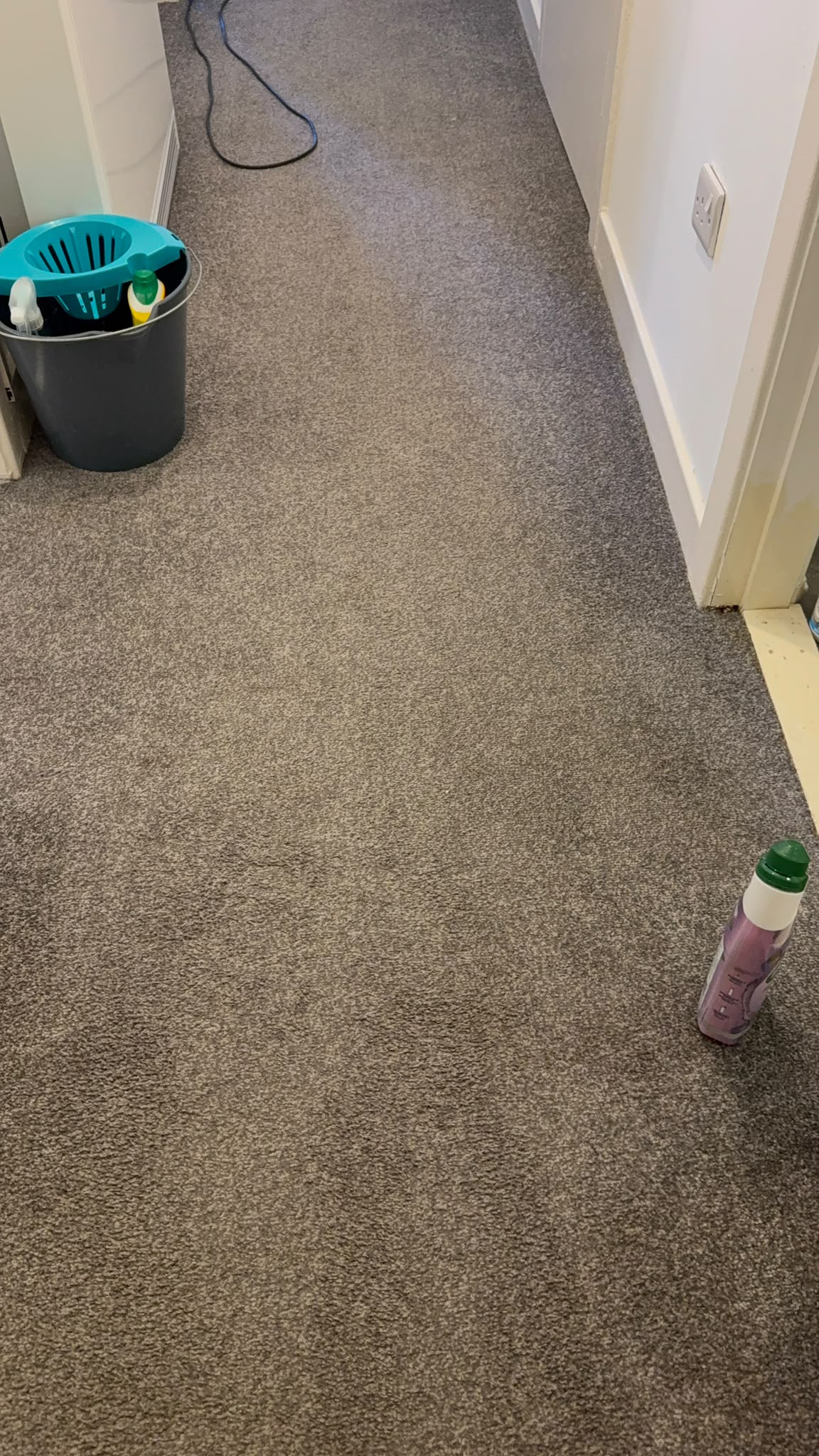 Carpet cleaning Edinburgh